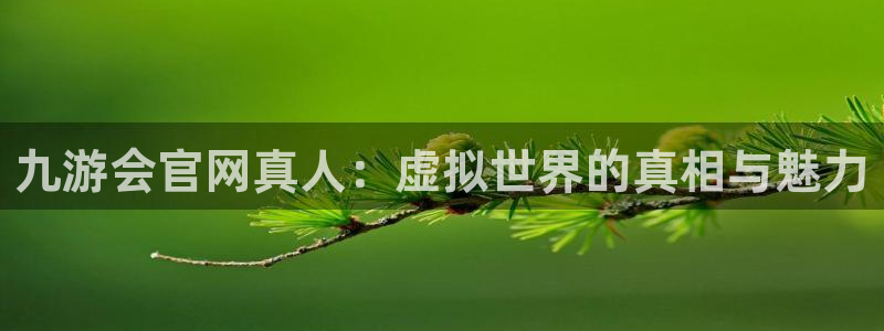 南宫NG登录网：九游会官网真人：虚拟世界的真相与魅力