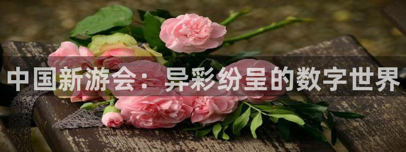 南宫NG电子游戏官网：中国新游会：异彩纷呈的数字世界