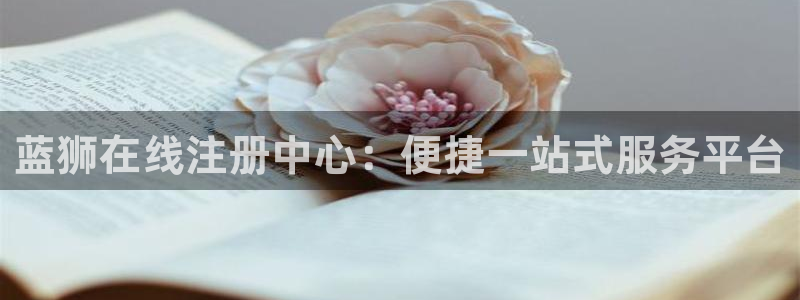 南宫NG平台官网入口：蓝狮在线注册中心：便捷一站式服务平台