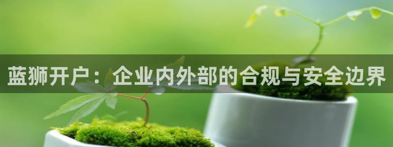 南宫NGquan28.cc：蓝狮开户：企业内外部的合规与安全边界