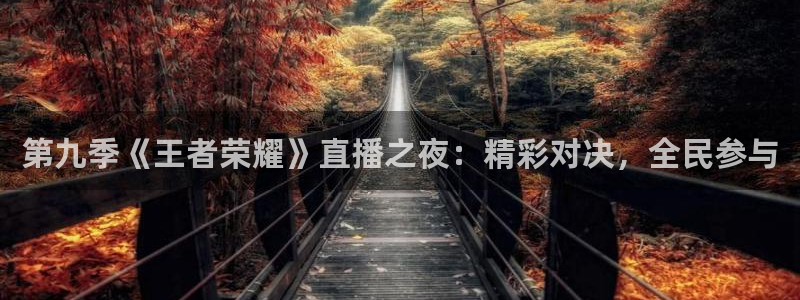 南宫NG电子游戏网页版：第九季《王者荣耀》直播之夜：精彩对决，全民参与