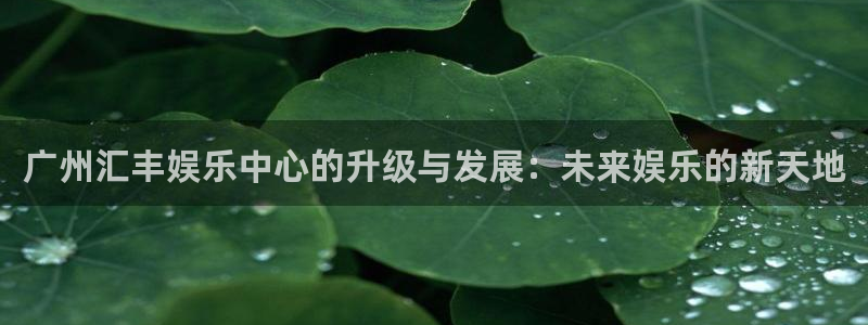 壹号电子娱乐app下载安装：广州汇丰娱乐中心的升级与发展：未来娱乐的新天地