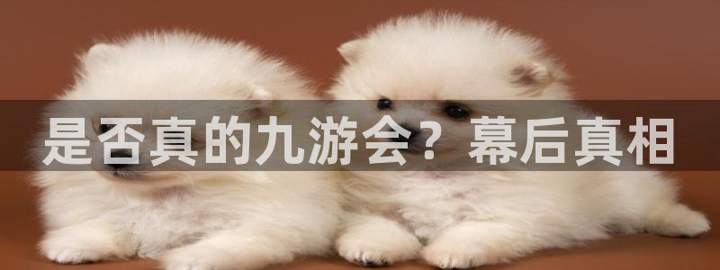 南宫NG,apk