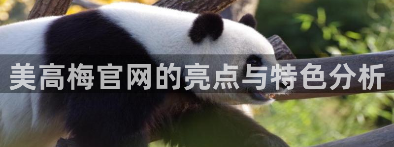 南宫NG官网版下载