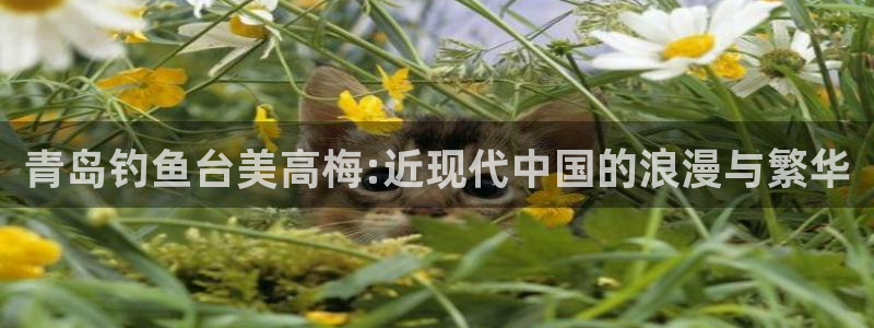南宫NG平台注册