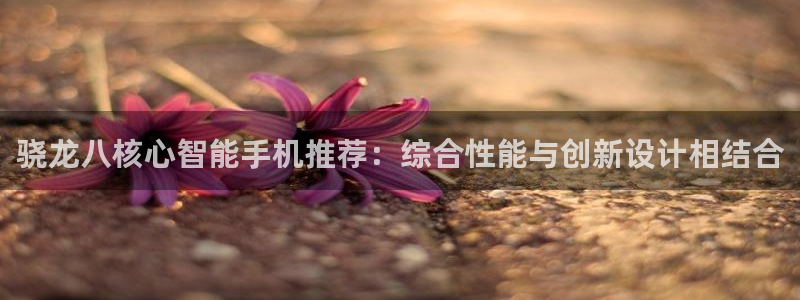壹号电子娱乐app下载最新版本安装