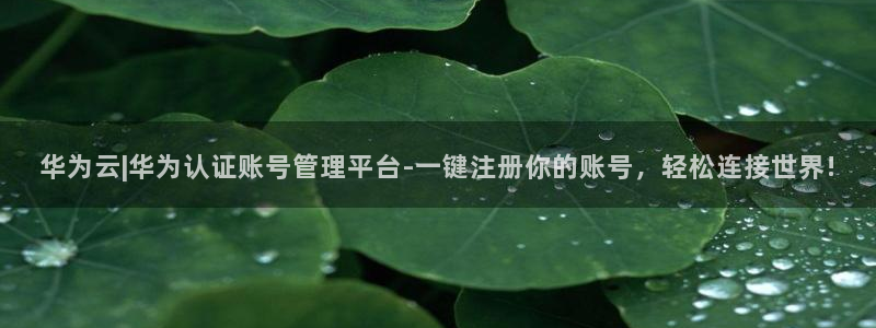 南宫NGccmpc麻将胡了