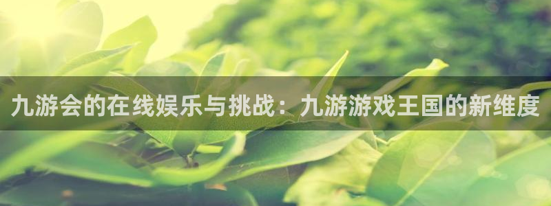南宫NGapp 是什么