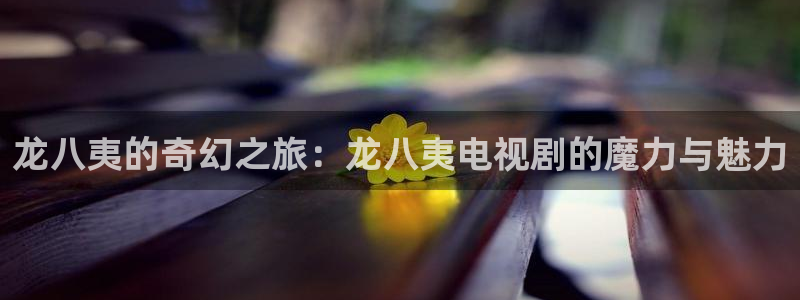 壹号app下载苹果
