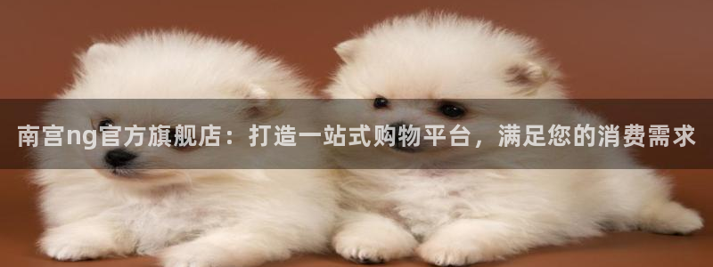 苹果版南宫NG下载安装