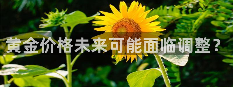 壹号大舞台28国际大舞台