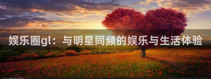 壹号下载官网入口