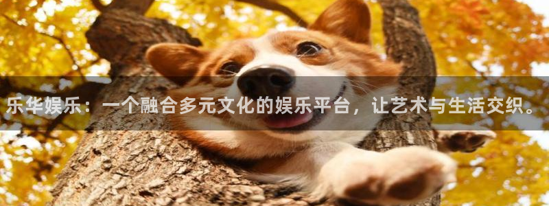 壹号大舞台怎么注册