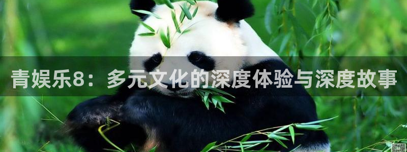 南宫NG可靠吗