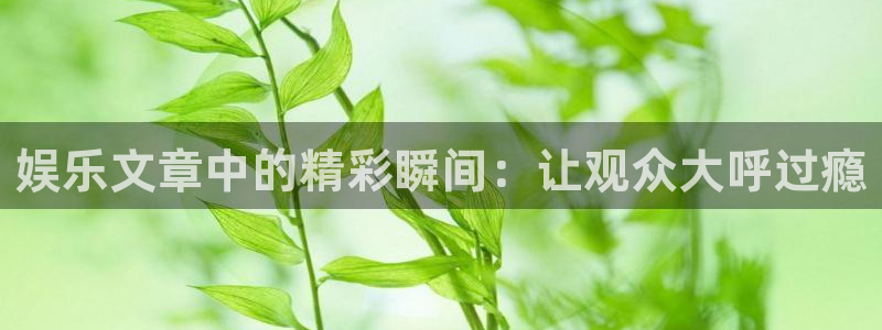 南宫NG官方app下载安装