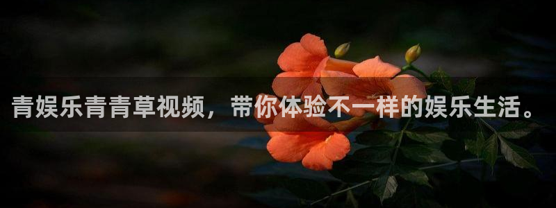 南宫NG网站平台
