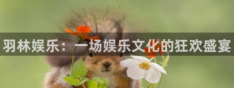 南宫NG平台官方网站