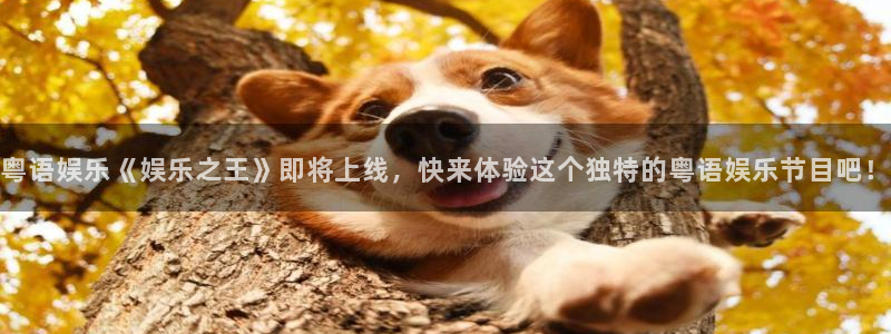 南宫NG(com.youad.authst)