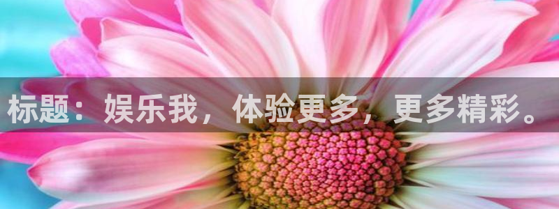 壹号app下载苹果