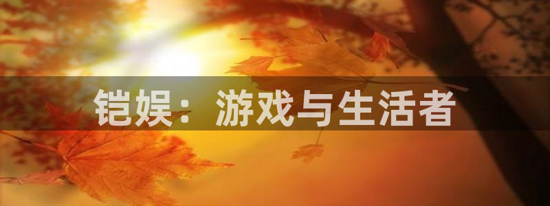 南宫NG