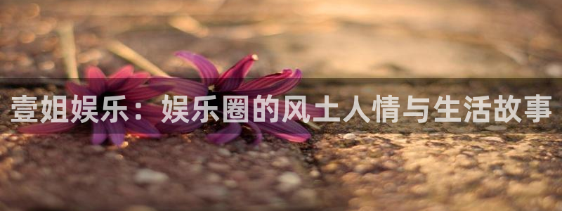 壹号大舞台怎么下载