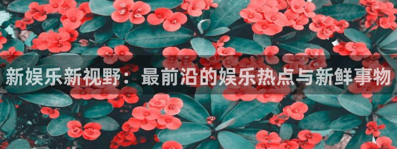 南宫NG下载