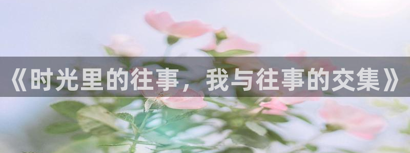 壹号电子娱乐app下载