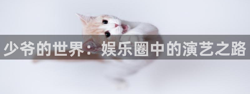 南宫NG官网下载