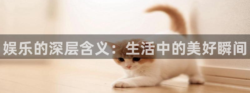 南宫NG