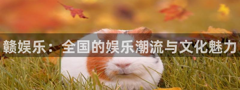 南宫NG下载