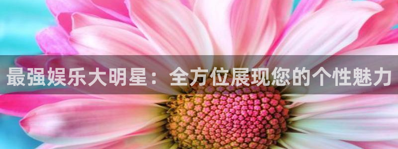 南宫NG注册网站链接