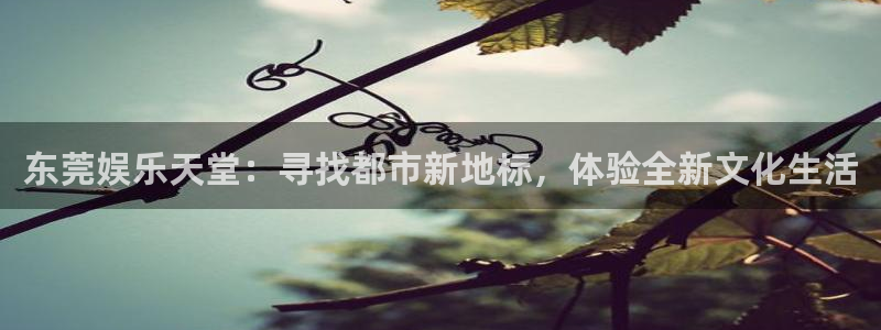壹号电子娱乐app下载官网