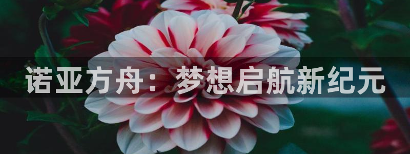 南宫NG平台官网入口：诺亚方舟：梦想启航新纪元