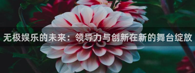 南宫NGvip麻将胡了：无极娱乐的未来：领导力与创新在新的舞台绽放