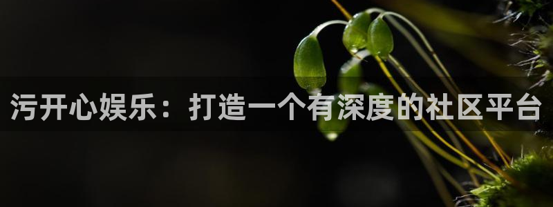 南宫NG注册网站app