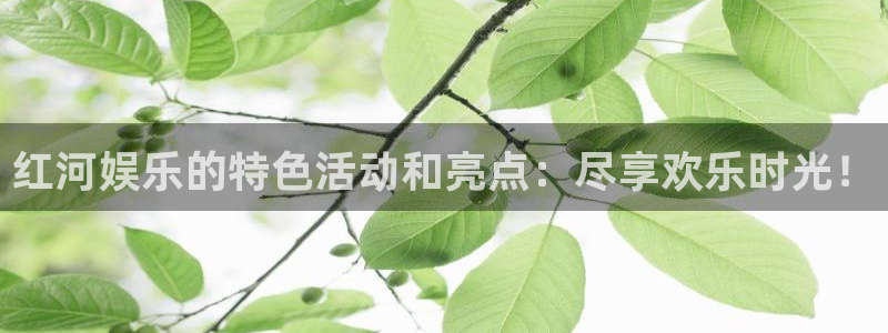 壹号大舞台官网入口：红河娱乐的特色活动和亮点：尽享欢乐时光！