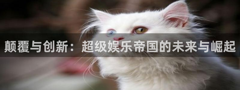 壹号下载安装：颠覆与创新：超级娱乐帝国的未来与崛起