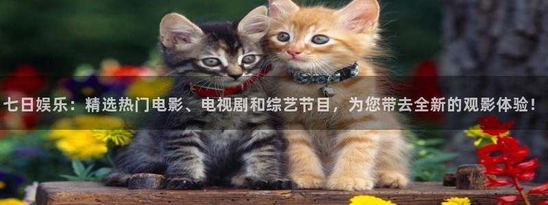 苹果版南宫NG下载安装