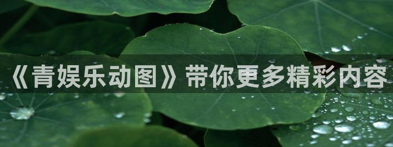 南宫NG下载入口
