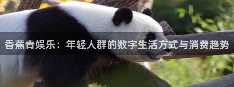 南宫NGapp入口