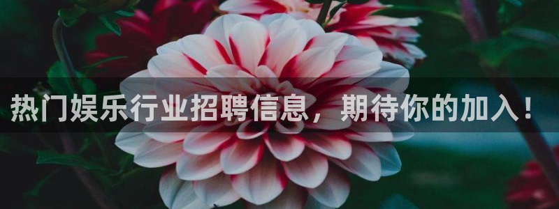 南宫NG怎么下载
