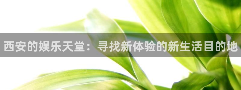 壹号下载官网入口